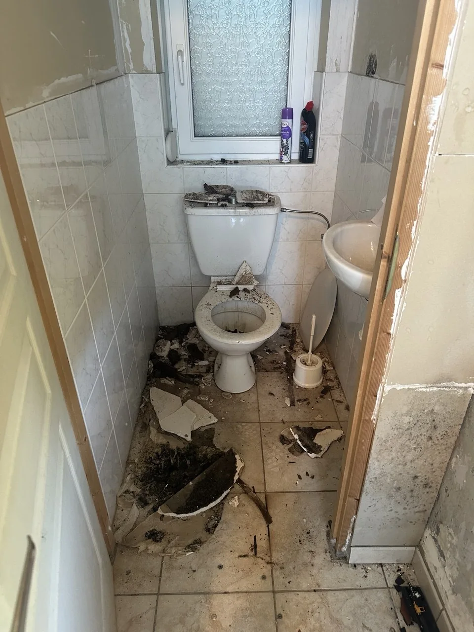 Sanitaires avant remise en état